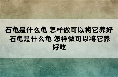 石龟是什么龟 怎样做可以将它养好 石龟是什么龟 怎样做可以将它养好吃